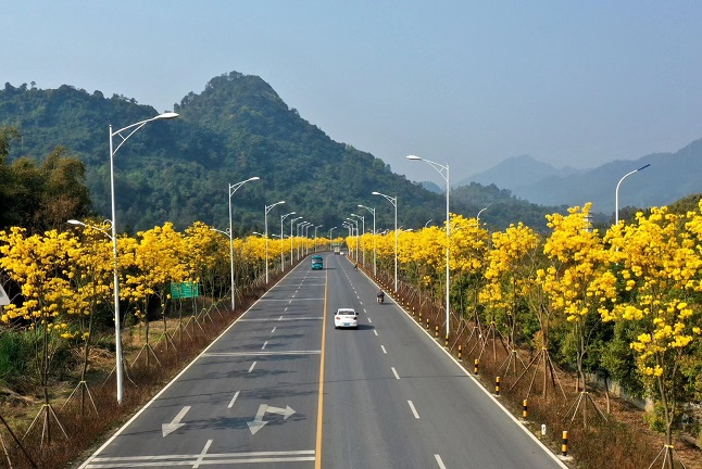 創(chuàng)建平安大道 (1).jpg