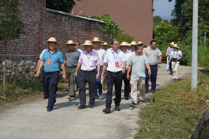 視察組在一六鎮(zhèn)視察農(nóng)村人居環(huán)境整治情況.JPG