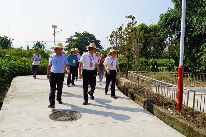 視察組在游溪鎮(zhèn)路佛高村視察農(nóng)村人居環(huán)境整治情況2.JPG